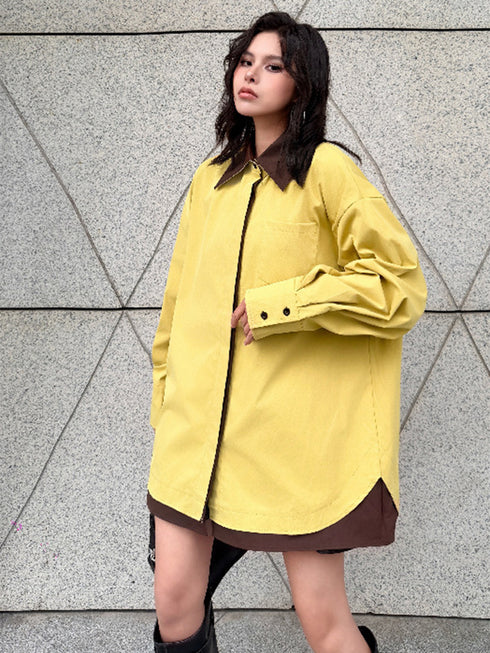 Layer Shift Collar Blouse