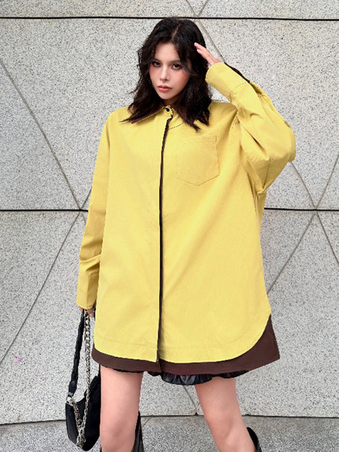 Layer Shift Collar Blouse