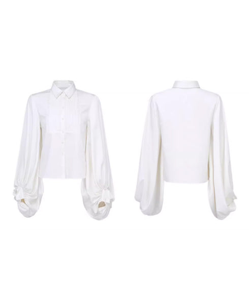 Pleated Sleeve Volume Blouse
