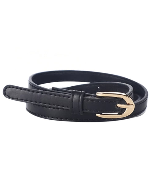 Double Layered Belt