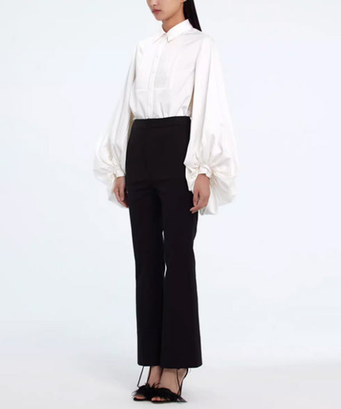 Pleated Sleeve Volume Blouse
