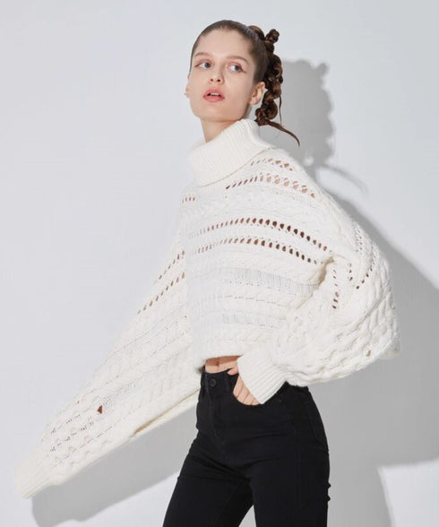 Cable Knit Cropped Turtleneck