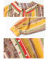 Terra Stripe Series