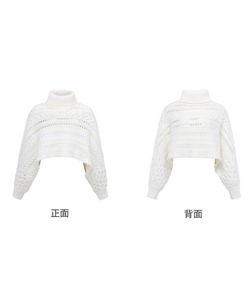 Cable Knit Cropped Turtleneck