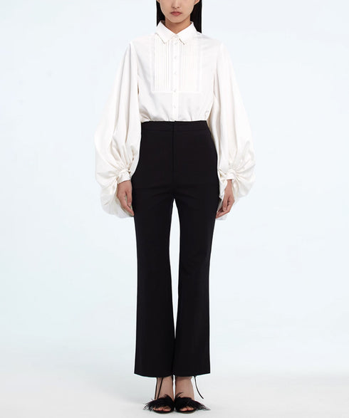 Pleated Sleeve Volume Blouse