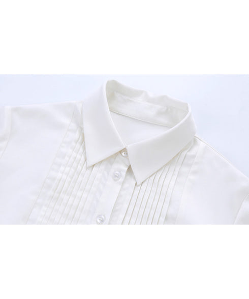 Pleated Sleeve Volume Blouse