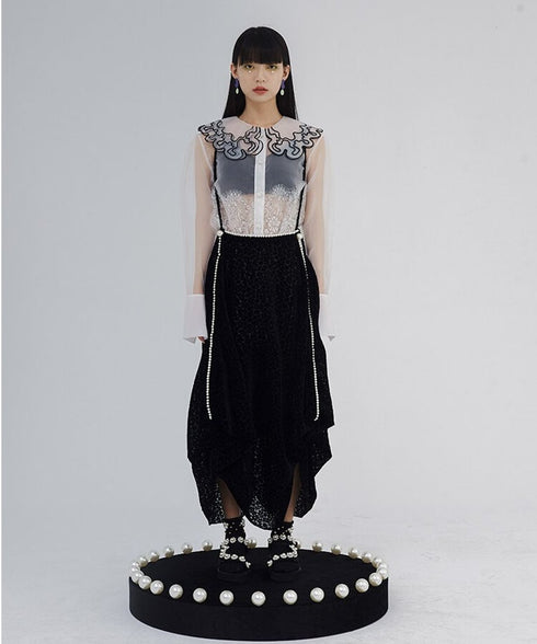 Sheer Lace Collar Blouse