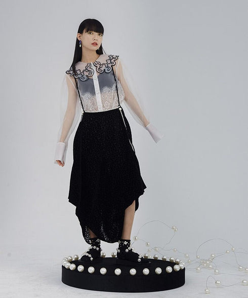 Sheer Lace Collar Blouse