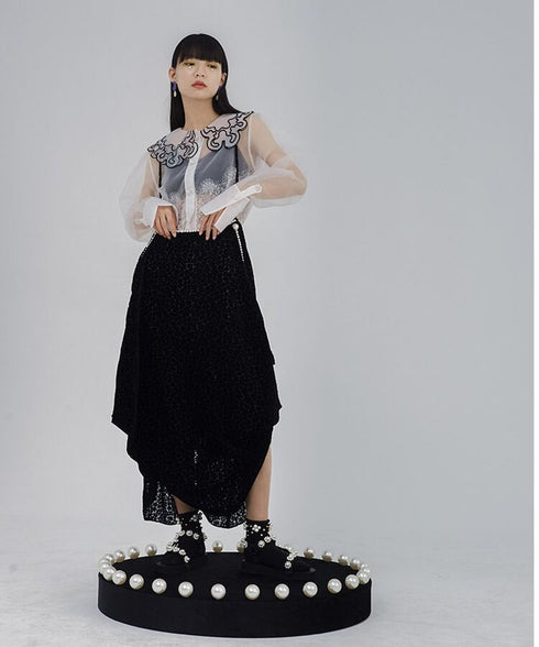 Sheer Lace Collar Blouse