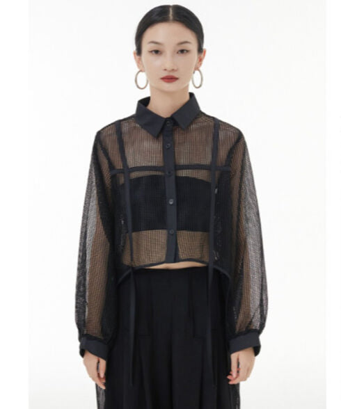 Side Long Mesh Blouse