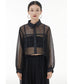 Side Long Mesh Blouse