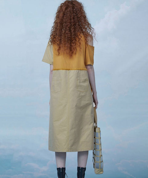 Dual Tone Asymmetric Strap Dress