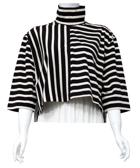Striped Turtle-neck Top