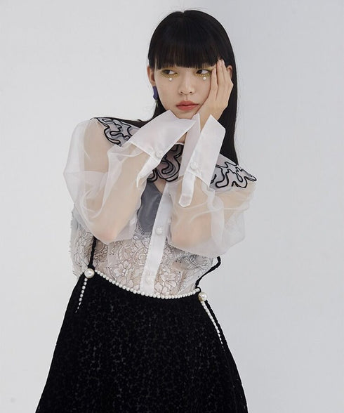 Sheer Lace Collar Blouse