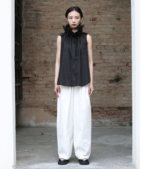 Gather Stand Collar Blouse