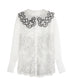 Sheer Lace Collar Blouse