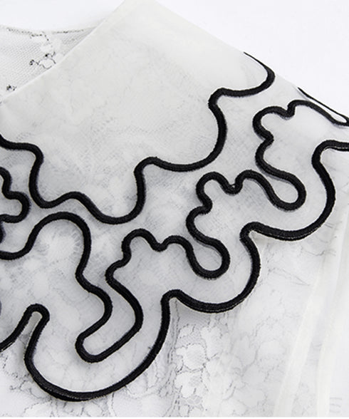 Sheer Lace Collar Blouse