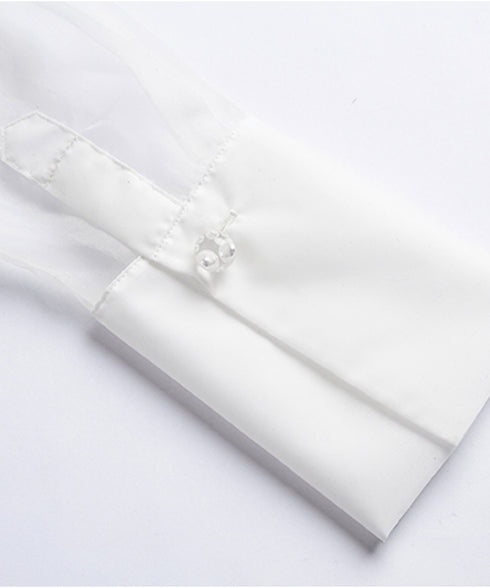 Sheer Lace Collar Blouse