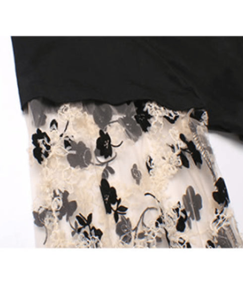 Sleeve See-through Dress