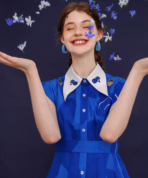Blue Bird Flare Dress