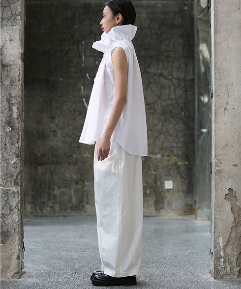 Gather Stand Collar Blouse