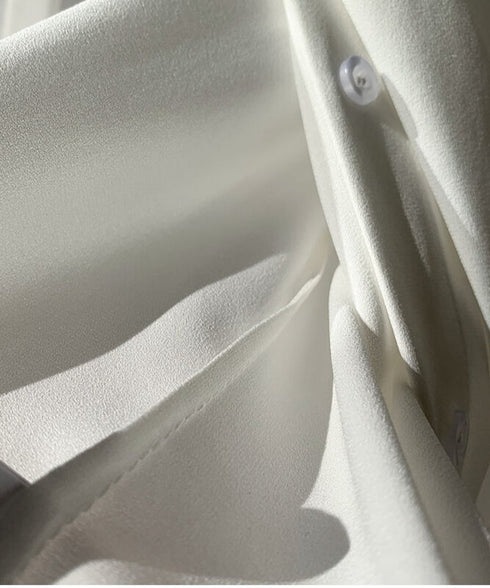 Pleated Sleeve Blouse