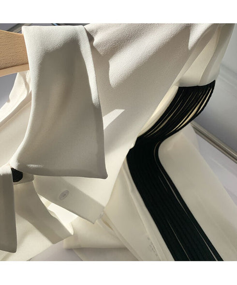 Pleated Sleeve Blouse