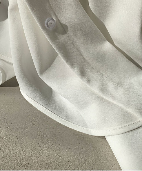 Pleated Sleeve Blouse