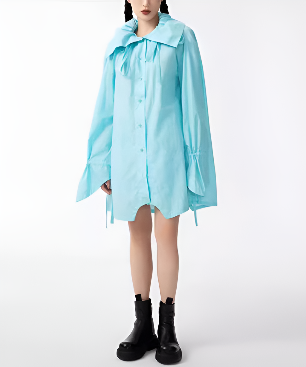 Ribbon Collar Tunic Blouse