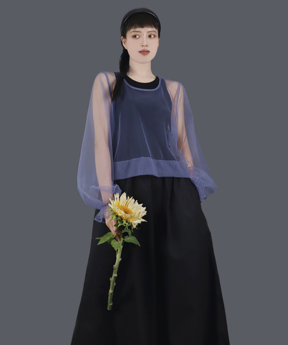 Aerial Veil Sleeve Top