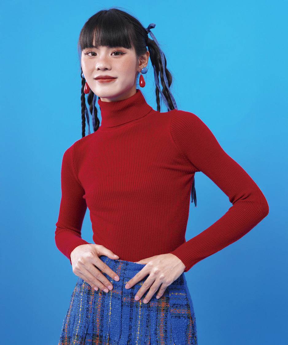 Rib Turtleneck Knit Top