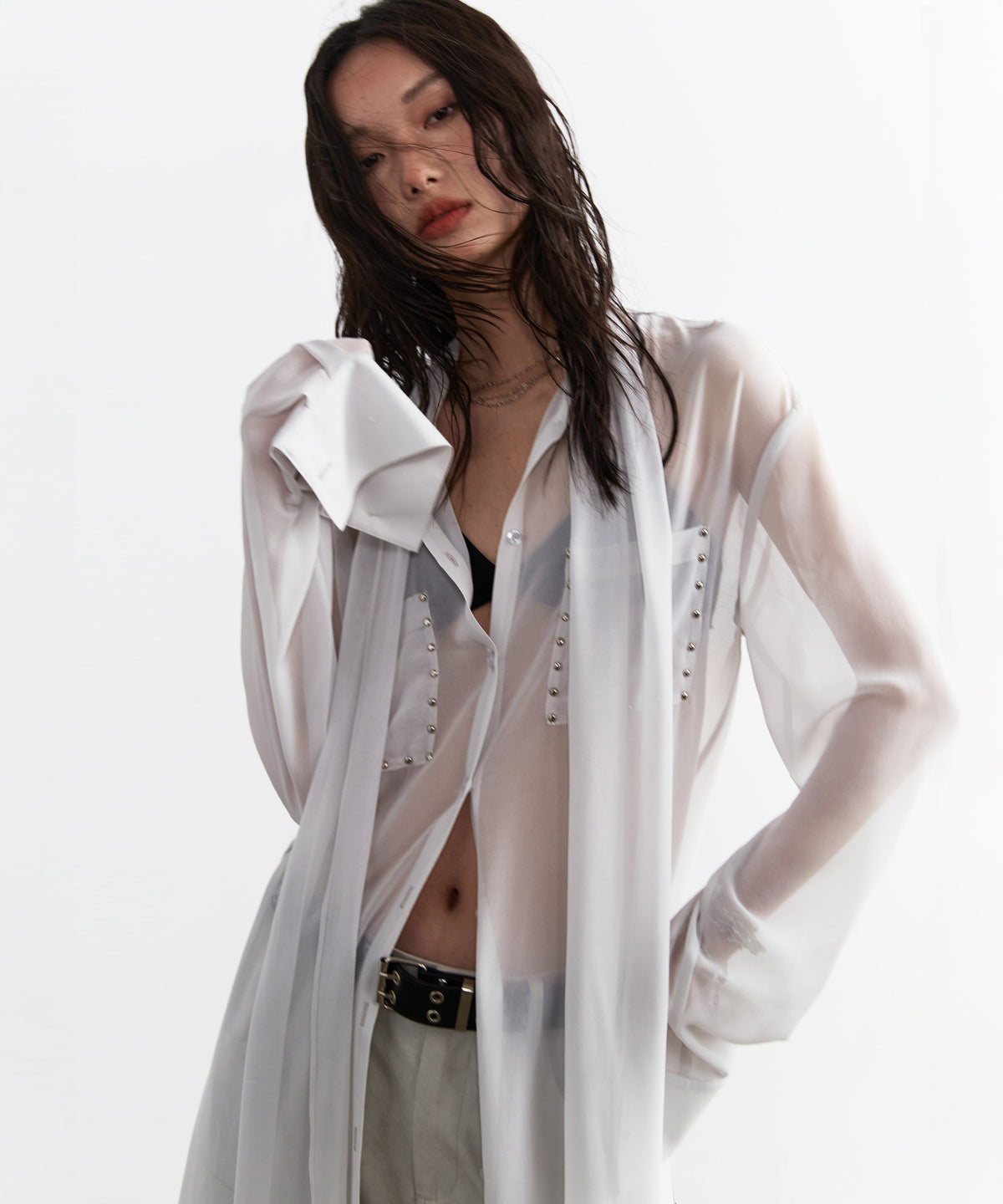 Studded Sheer Long Blouse