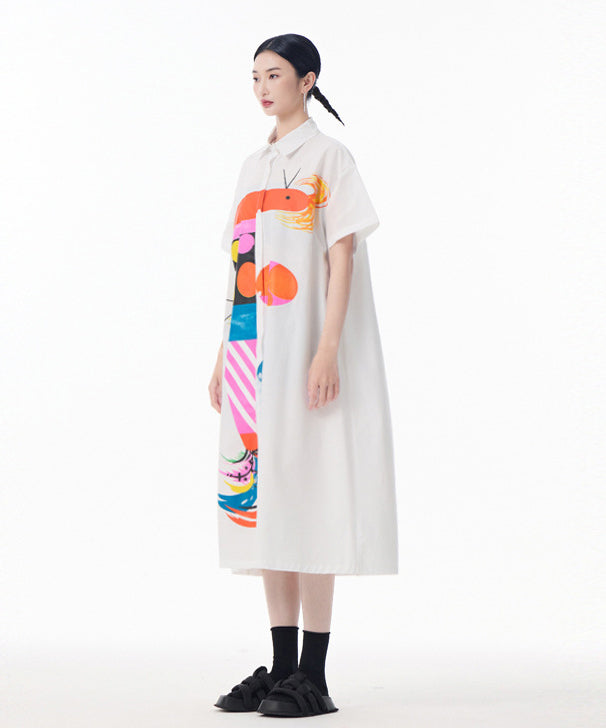 Color Parade Shirt Dress