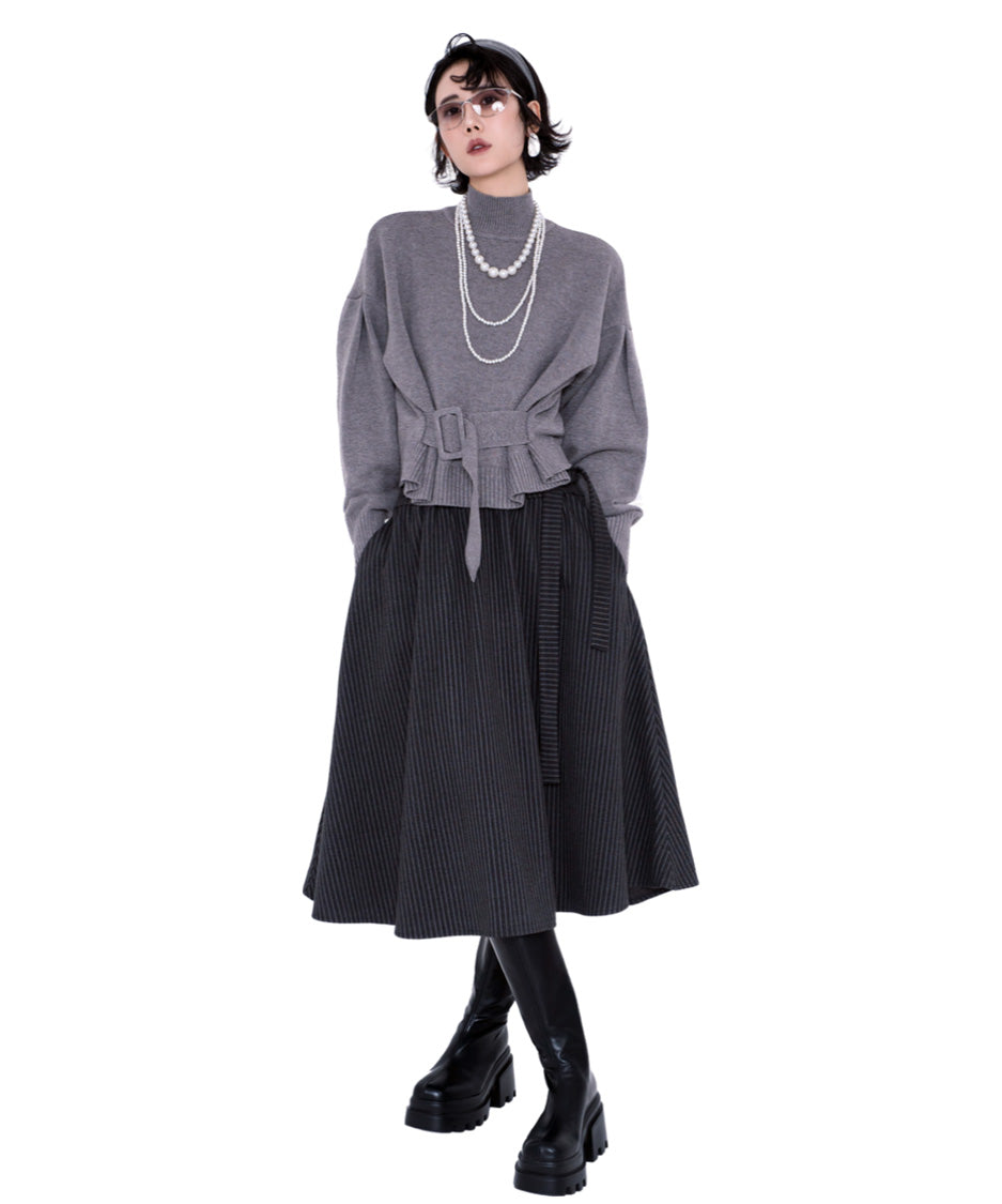 Belted High Neck Knit Top