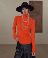 Colour Rollneck Knit