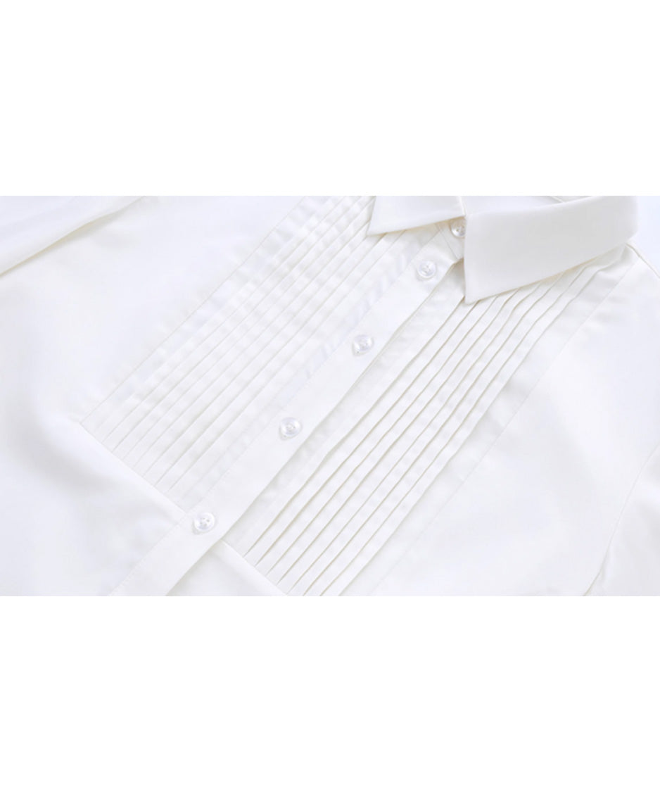 Pleated Sleeve Volume Blouse