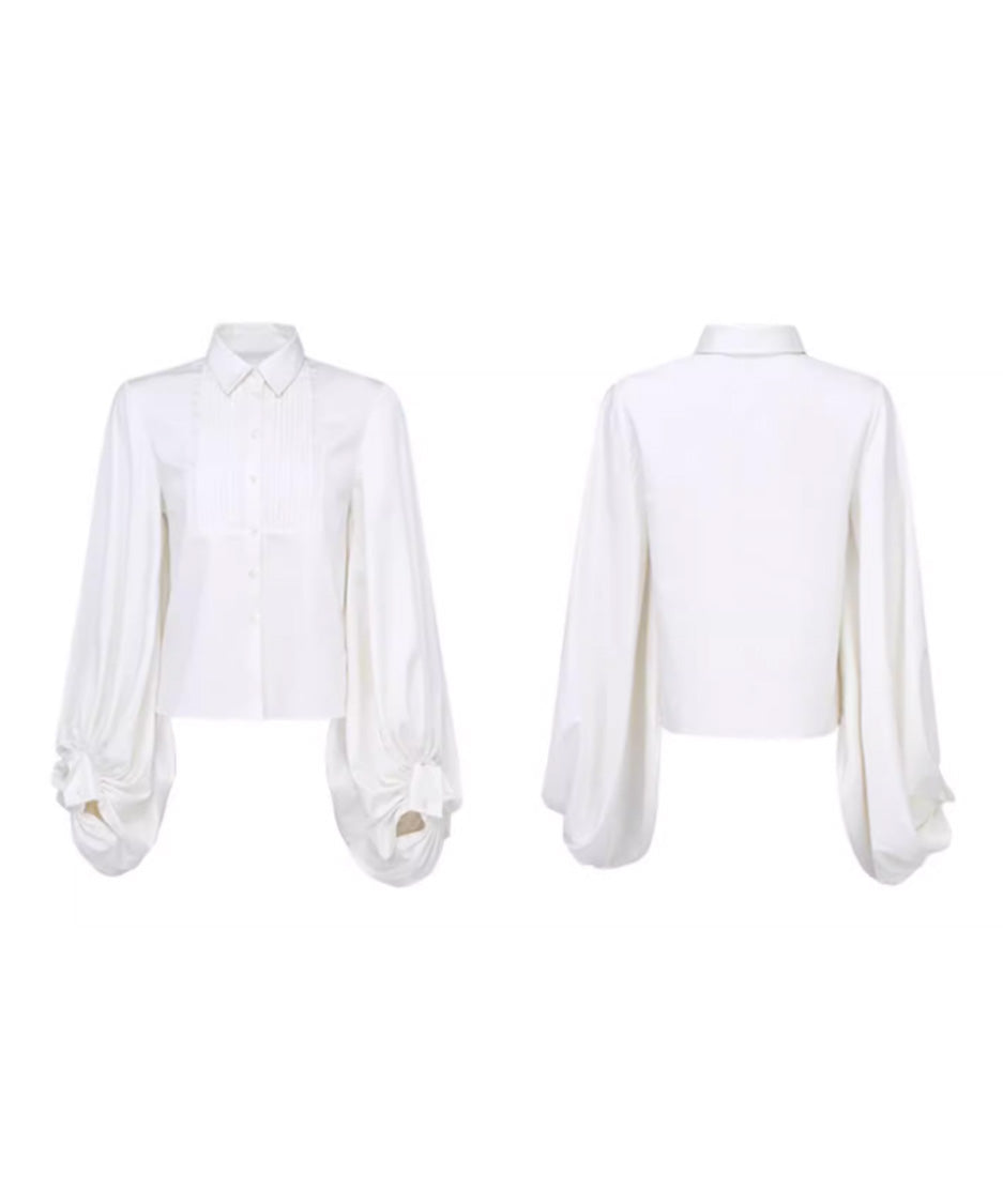 Pleated Sleeve Volume Blouse