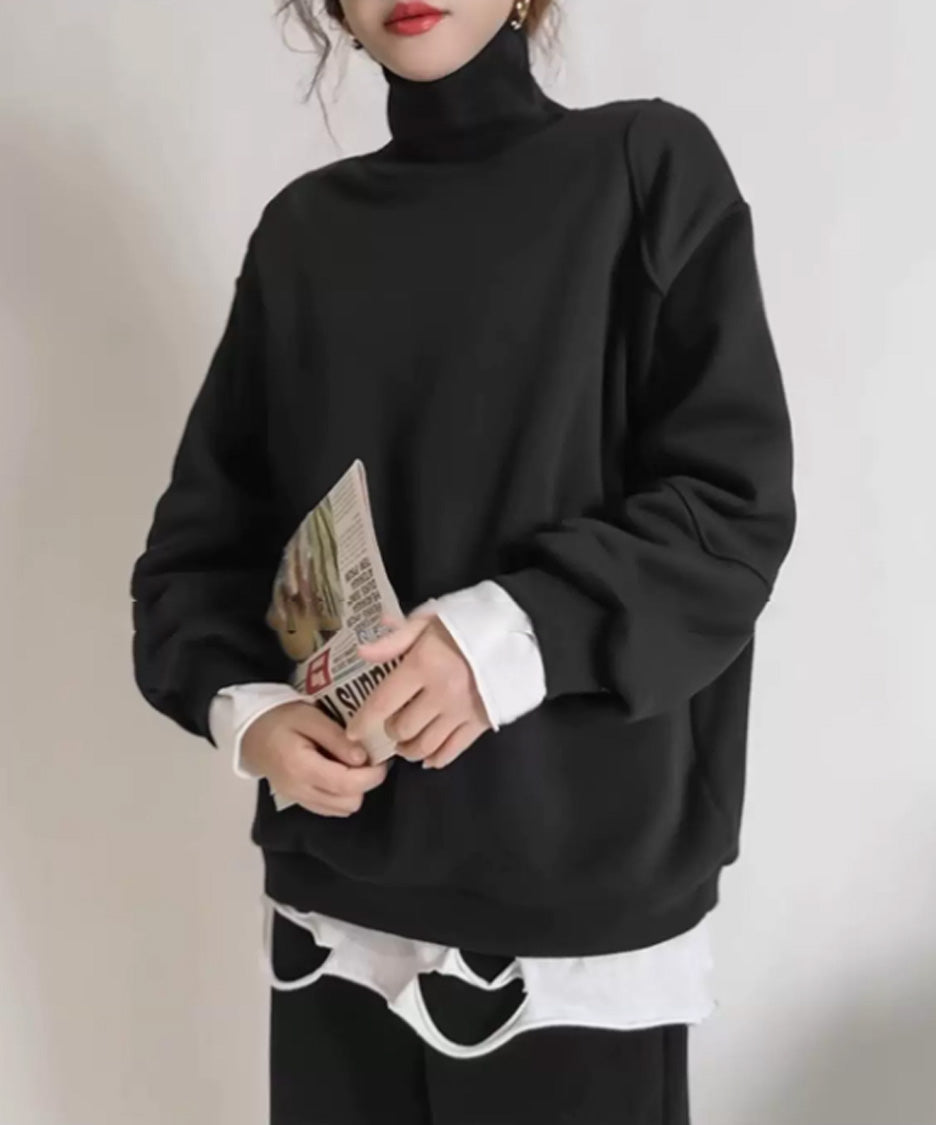 Panel Sleeve High Neck Sweatshirt