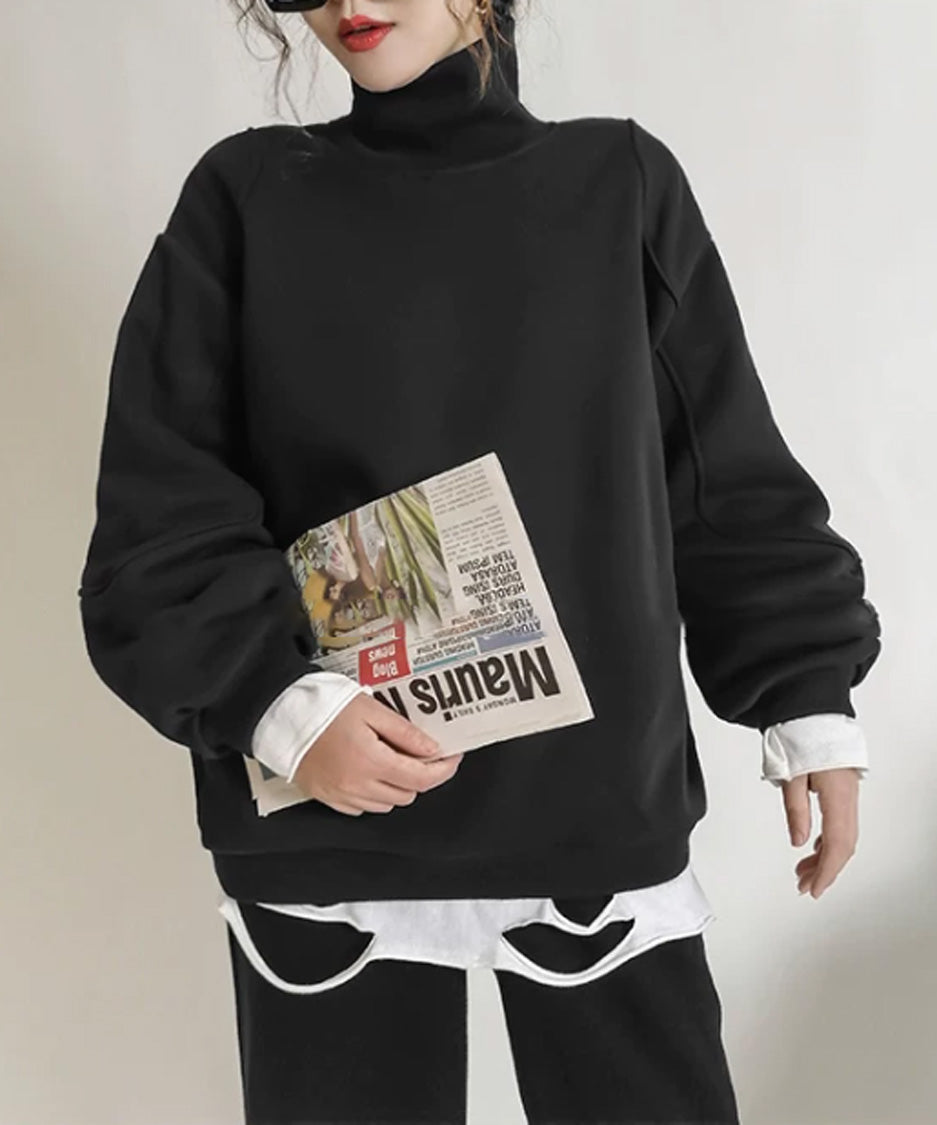 Panel Sleeve High Neck Sweatshirt