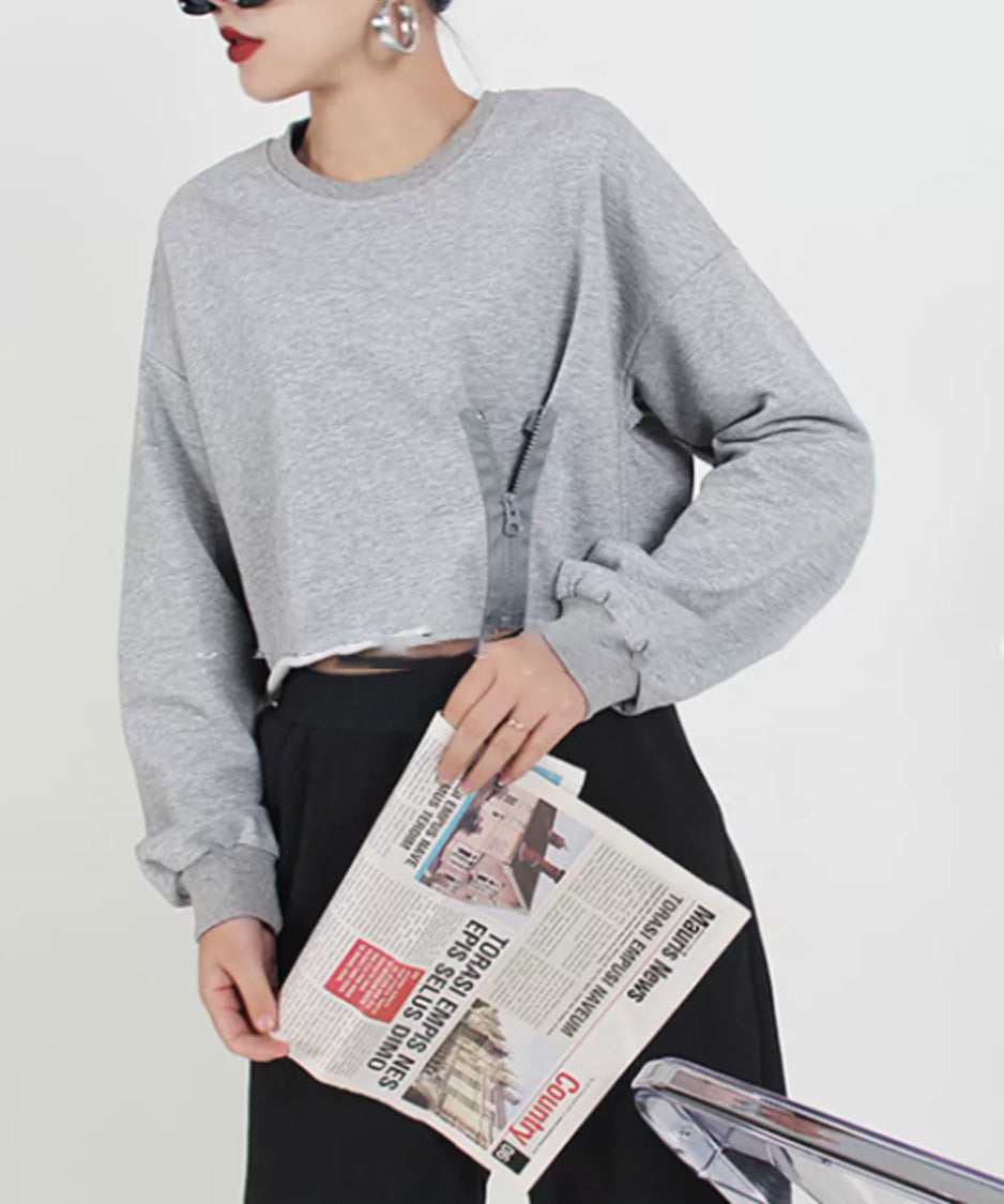 Zip Detail Cropped Sweatshirt