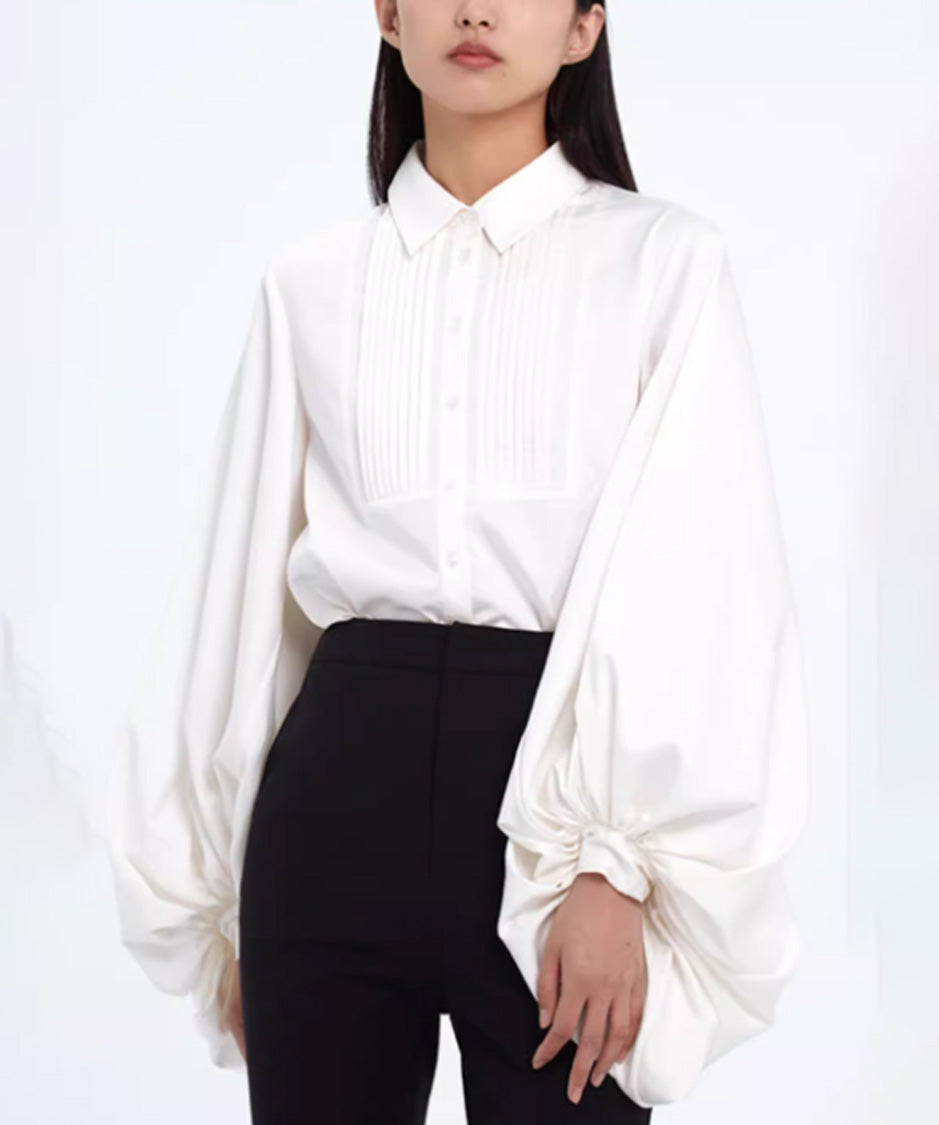Pleated Sleeve Volume Blouse