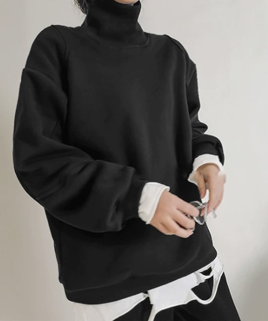 Panel Sleeve High Neck Sweatshirt