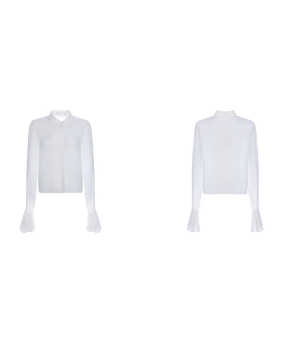 Pleated Sleeve Volume Blouse