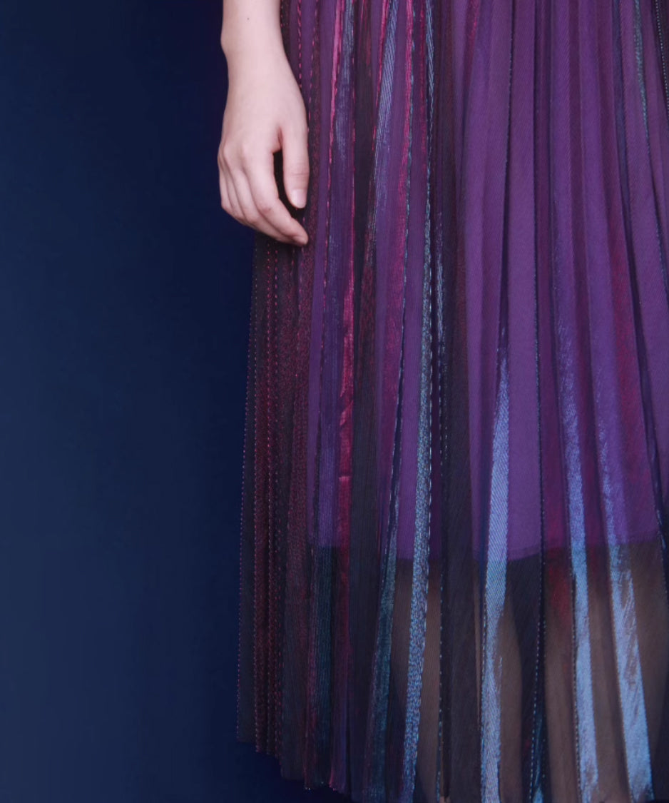 Polarized Pleated Flare Skirt