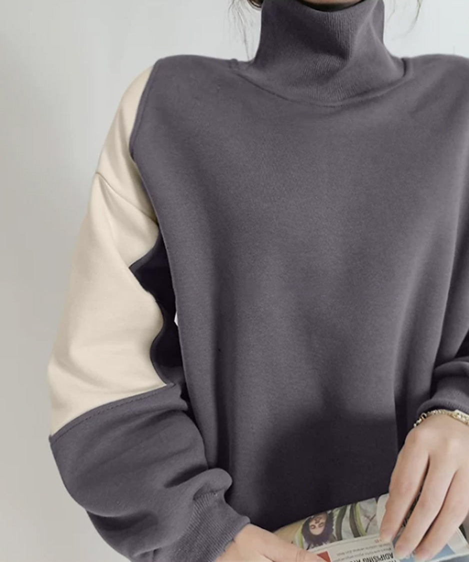 Panel Sleeve High Neck Sweatshirt