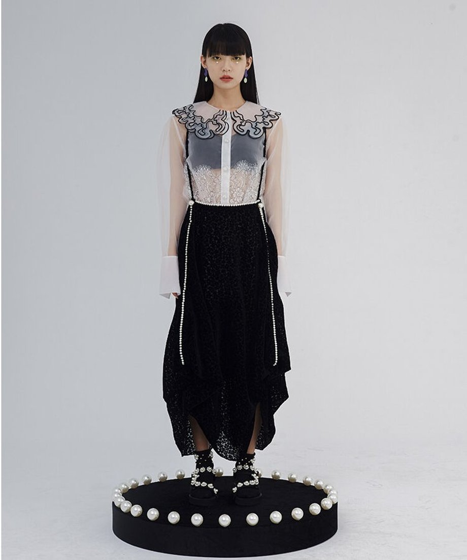 Sheer Lace Collar Blouse