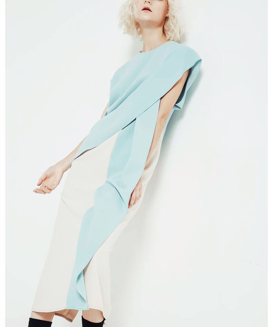 French Sleeve Dress