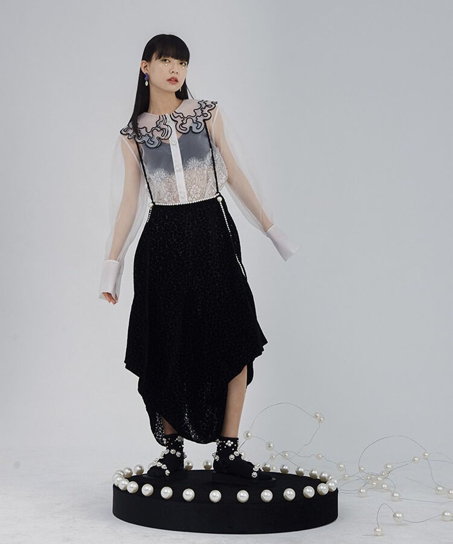 Sheer Lace Collar Blouse