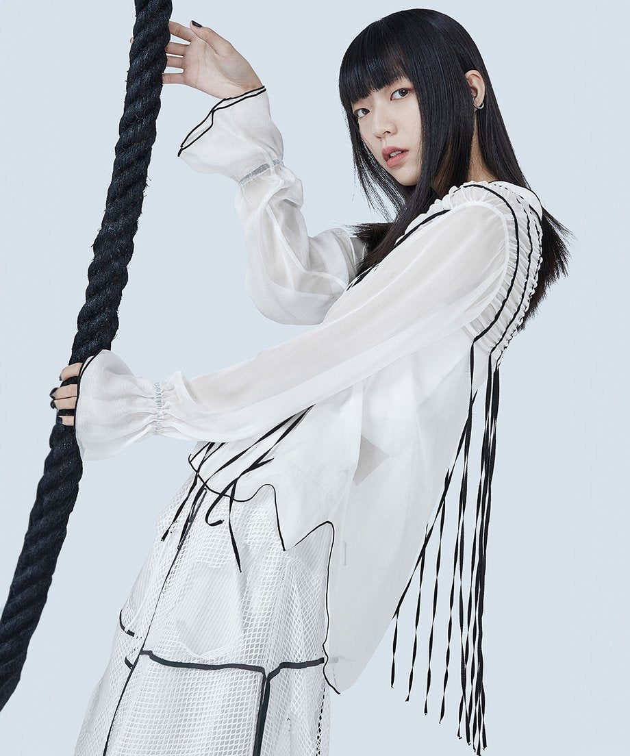 Line Art Sheer Blouse