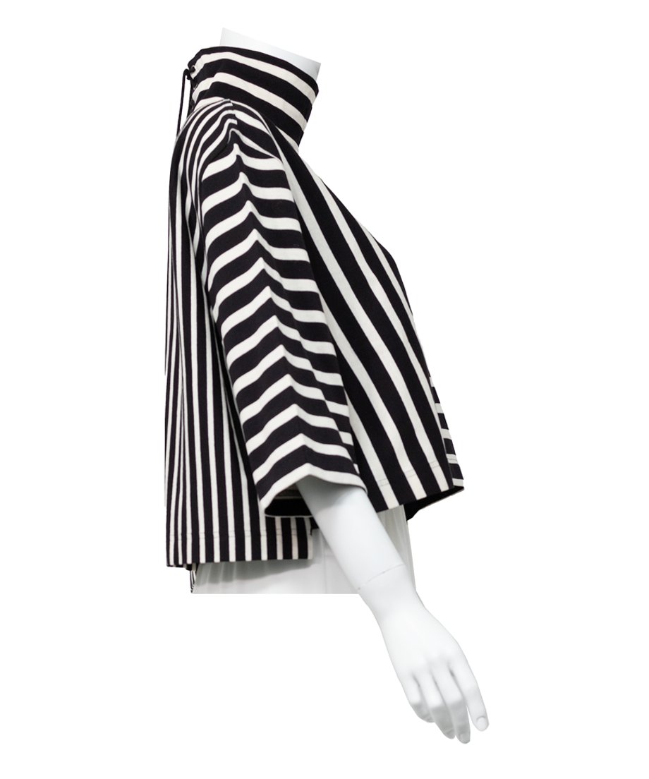 Striped Turtle-neck Top